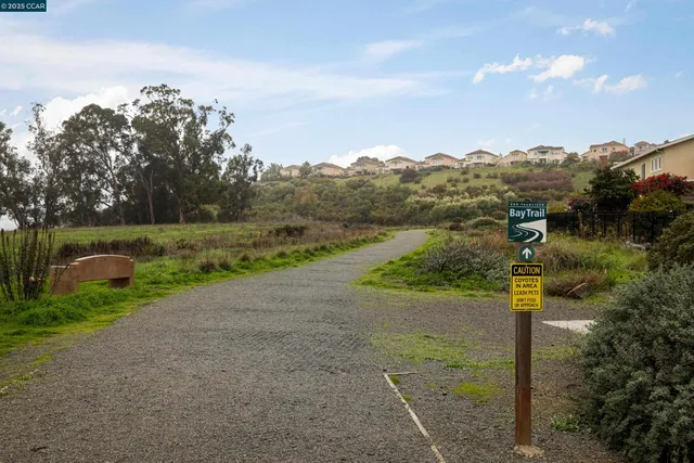 a street sign is sitting in the middle of a yard
