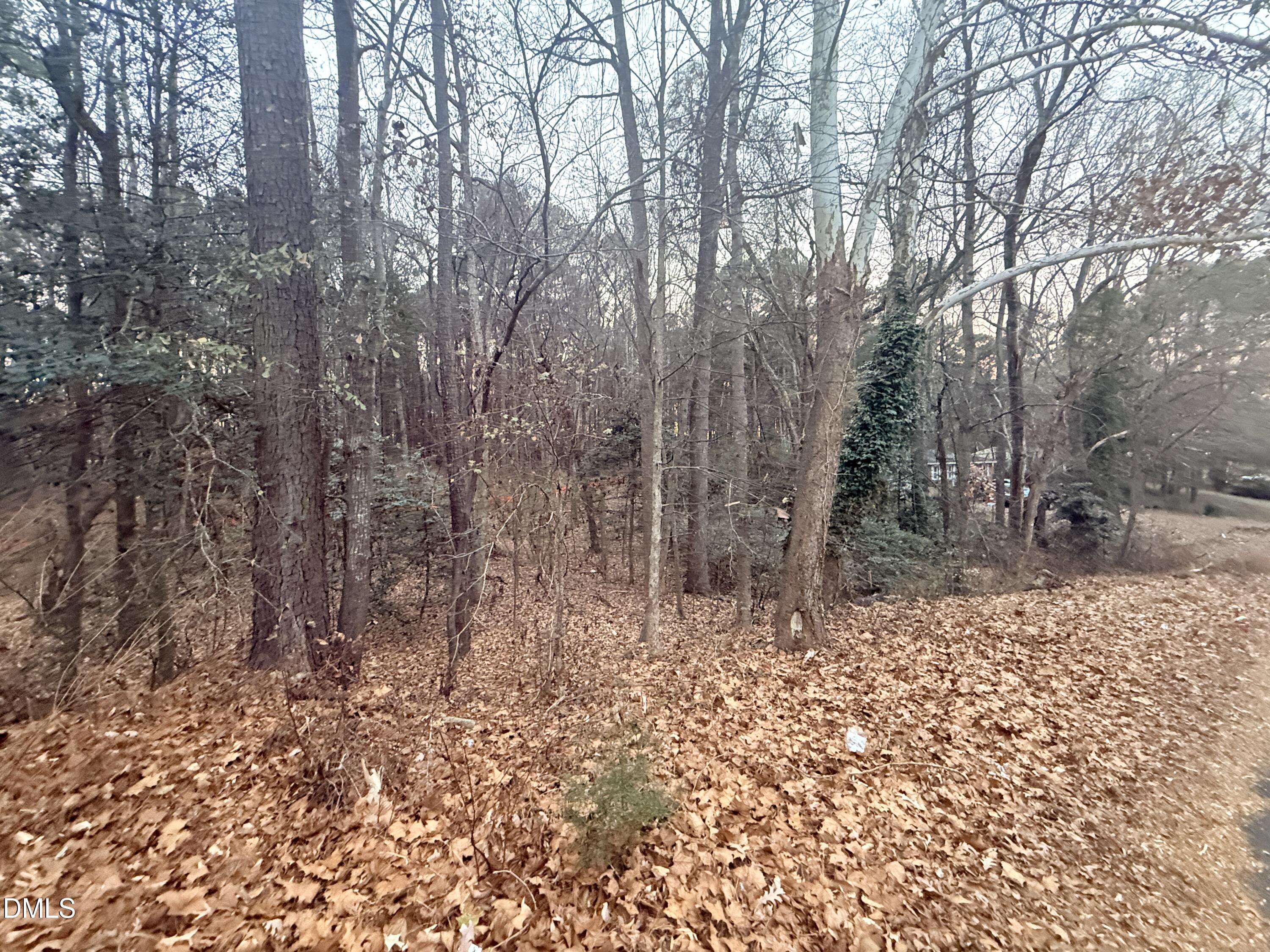 5104 Royal Acres Road Raleigh, NC 27610 - Photo 2 of 3 a fire hydrant in the middle of a yard