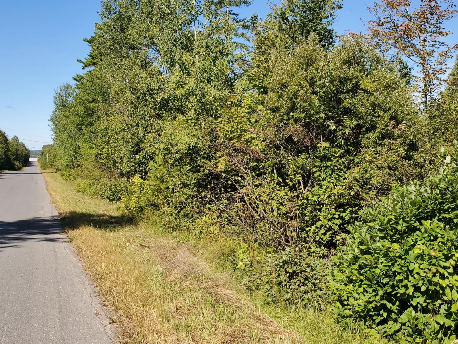 68 Sterling Ridge Road Ashland, ME 04732 - Photo 2 of 12 20200901_103112