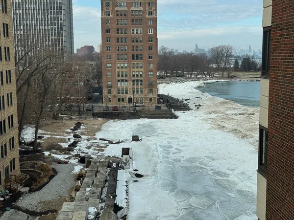 $1,350 | 7337 South South Shore Drive, Unit 704, Chicago, IL 60649