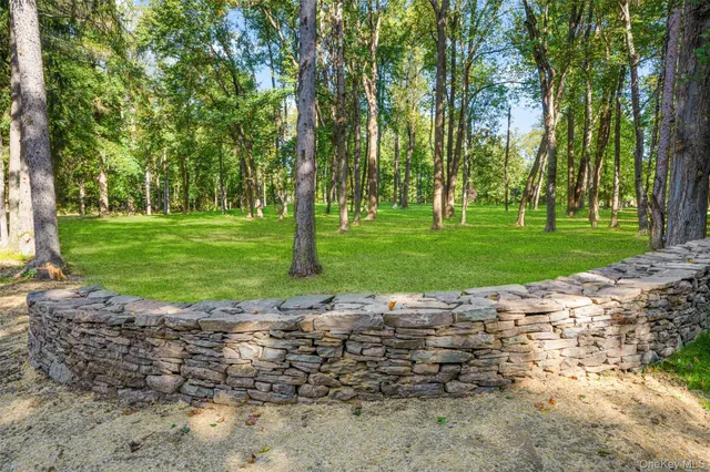 a view of a park with a tree