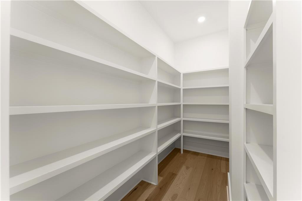 285 Reese Way Ball Ground, GA 30107 - Photo 21 of 30 a view of walk in closet with empty racks