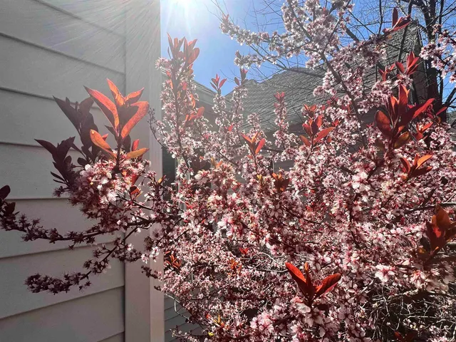 $143,000 | 1010 South 8th Street, Terre Haute, IN 47807