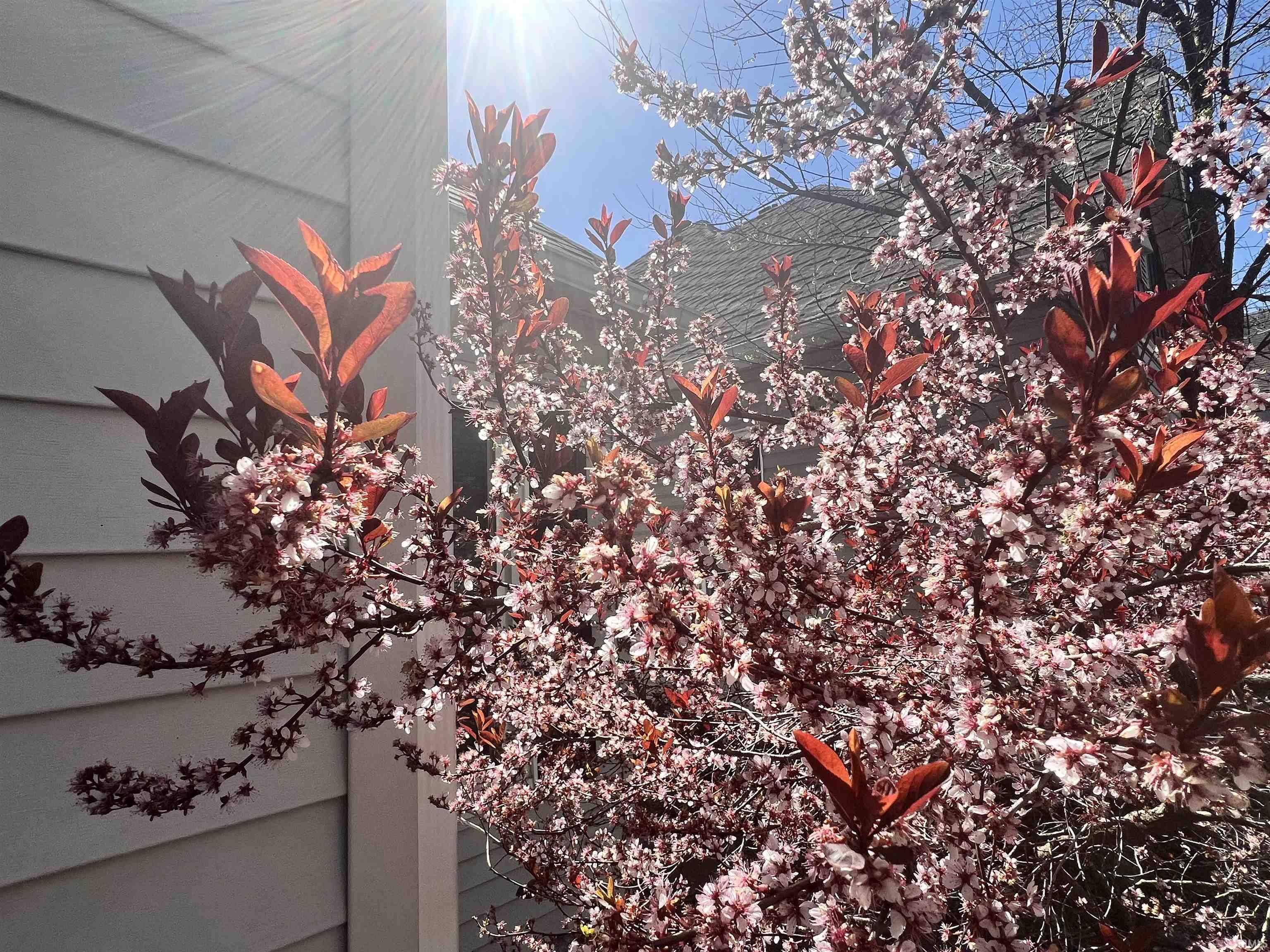 1010 South 8th Street Terre Haute, IN 47807 - Photo 3 of 33