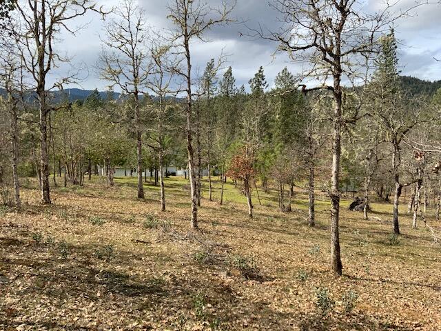 3587 Hugo Road Merlin, OR 97532 - Photo 12 of 19 trees back
