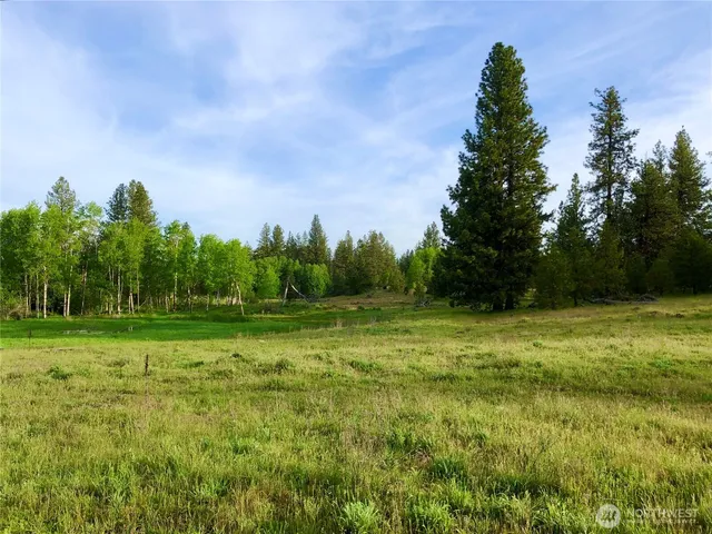 a view of a grassy field with trees in the background