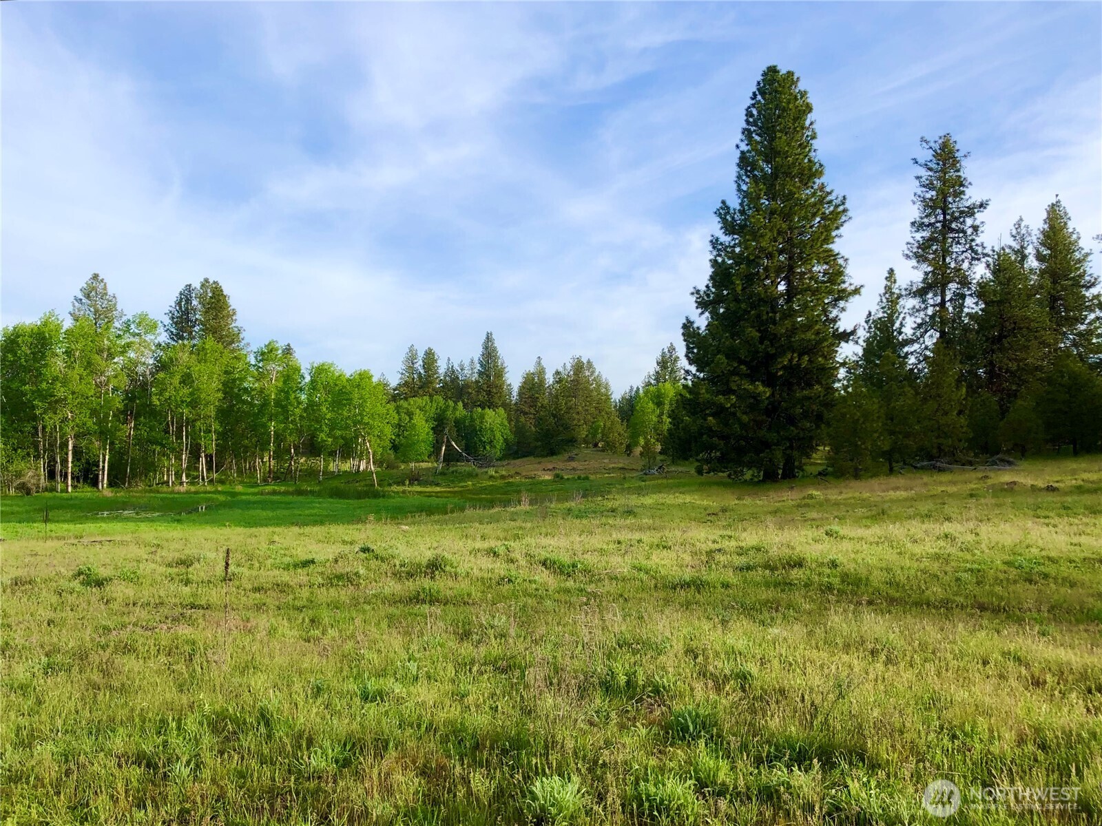 11300 South Stangland Road Medical Lake, WA 99022 - Photo 1 of 27 a view of a grassy field with trees in the background