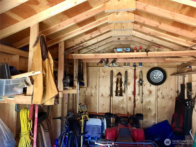 a view of a yard with plants and large trees