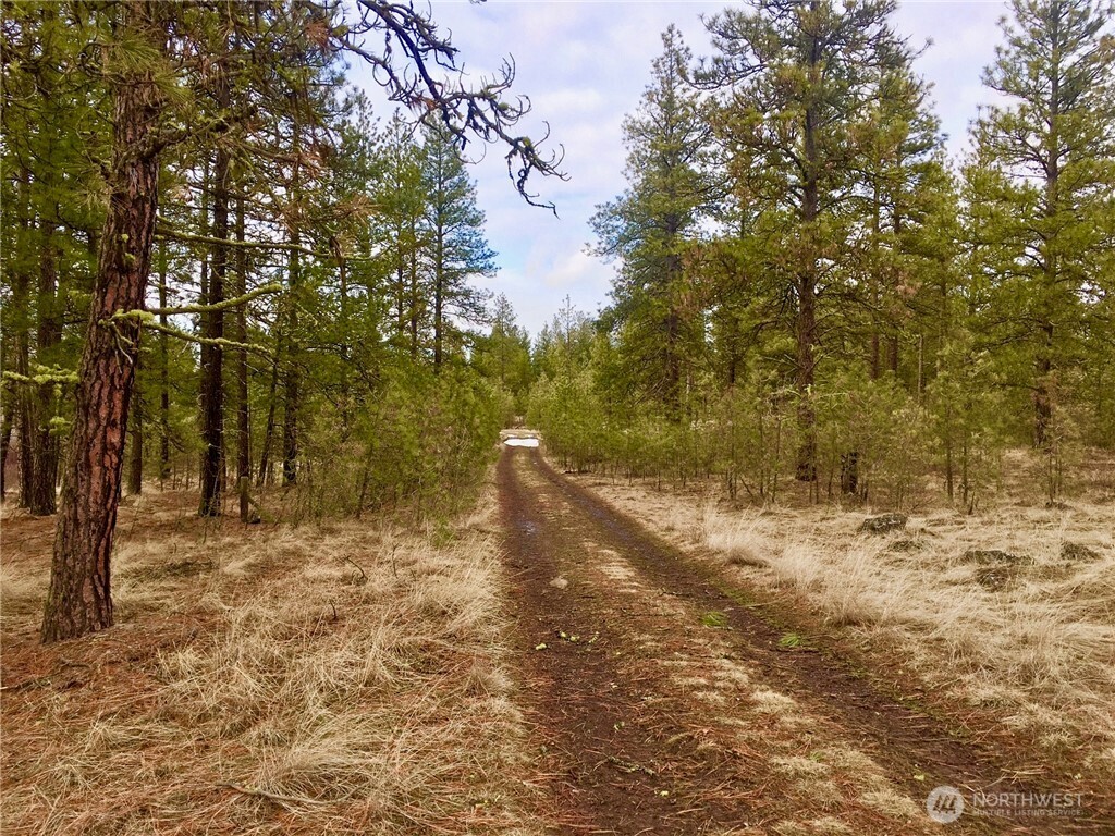 11300 South Stangland Road Medical Lake, WA 99022 - Photo 20 of 27