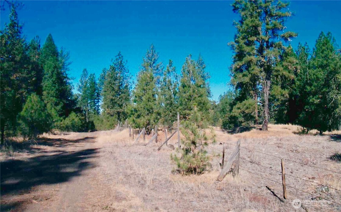 11300 South Stangland Road Medical Lake, WA 99022 - Photo 21 of 27 a view of a dirt road with trees in the background