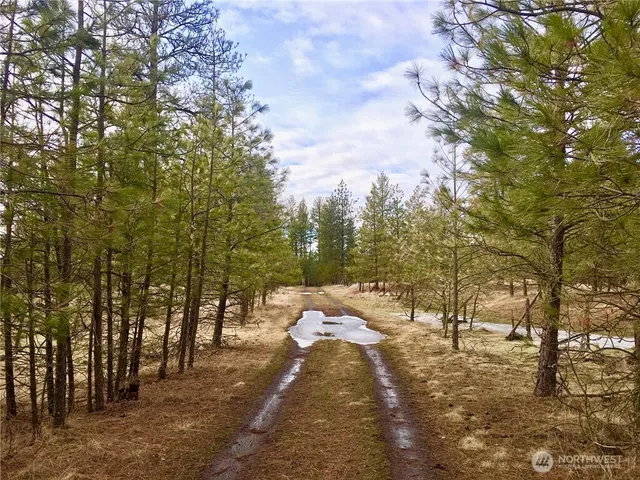 $550,000 | 11300 South Stangland Road, Medical Lake, WA 99022