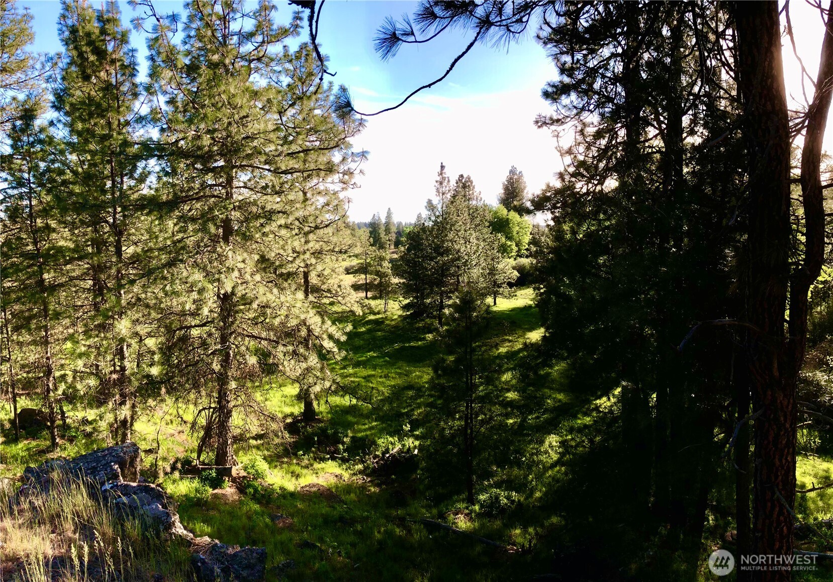 11300 South Stangland Road Medical Lake, WA 99022 - Photo 3 of 27