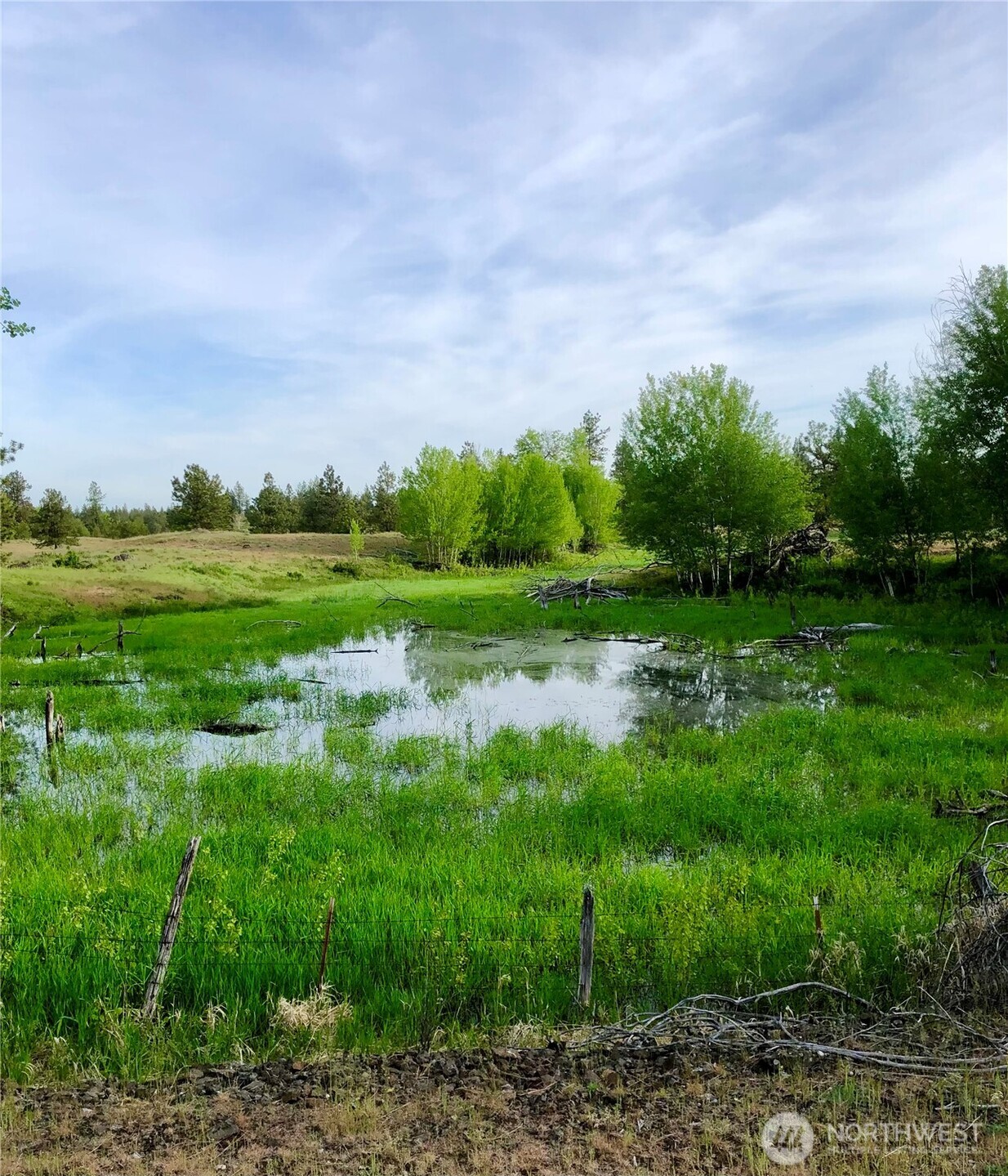11300 South Stangland Road Medical Lake, WA 99022 - Photo 7 of 27 a view of a garden with a building in the background
