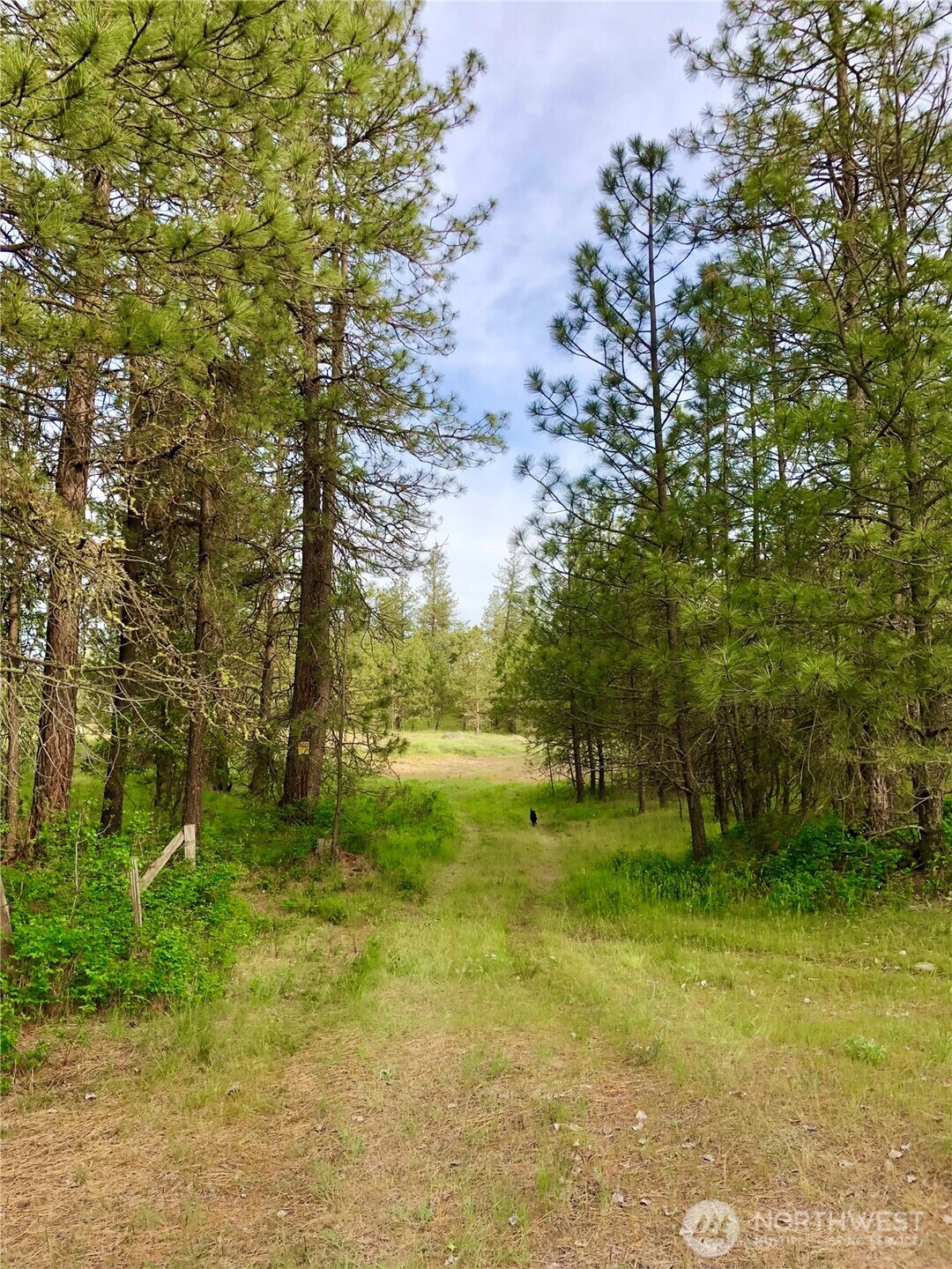 11300 South Stangland Road Medical Lake, WA 99022 - Photo 8 of 27 a view of yard with green space