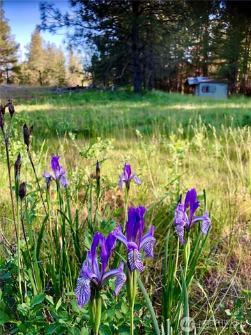 a bedroom with a bed and dresser