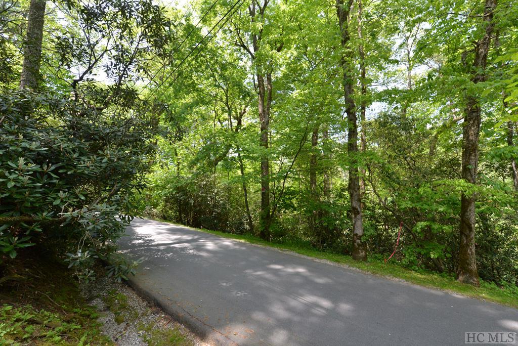 On Cobb Road Highlands, NC 28741 - Photo 3 of 11 Gallery Image 3