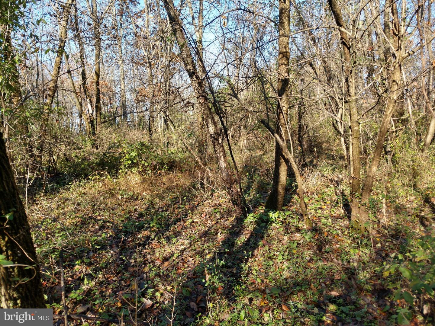 37 Chestnut Grove Road Pottstown, PA 19464 - Photo 7 of 9 Gallery Image 7