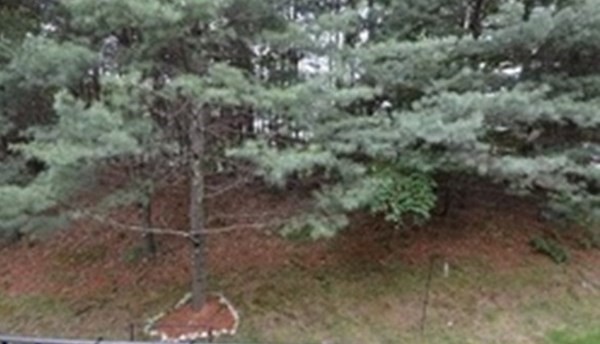 6 Pine View, Unit 6 Millis, MA 02054 - Photo 27 of 28