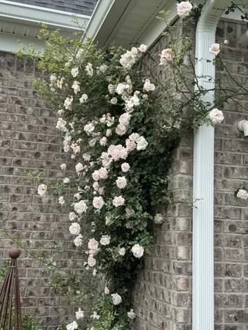 $1,689,000 | 4684 Majestic Mdws Drive, Arrington, TN 37014