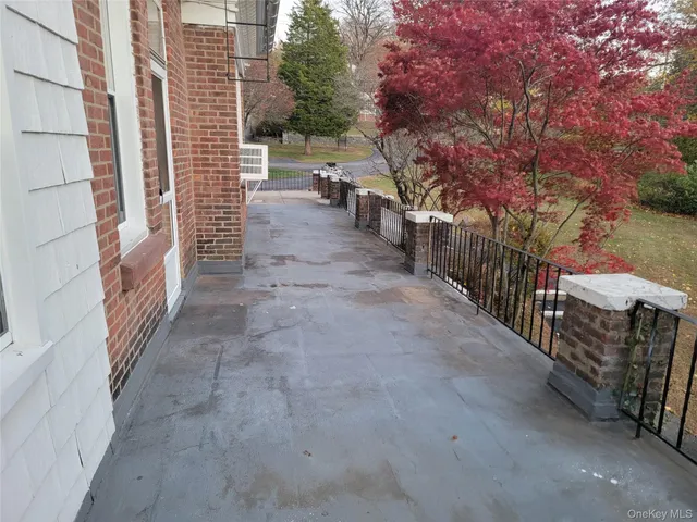 a view of a forest with trees in the background