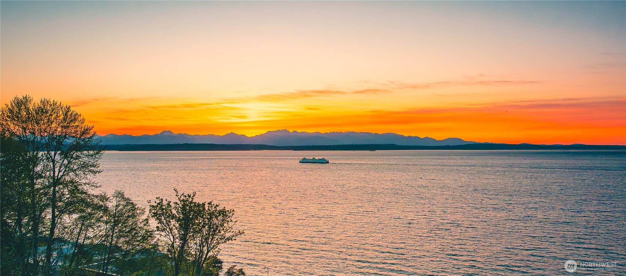 a view of a sky from a yard