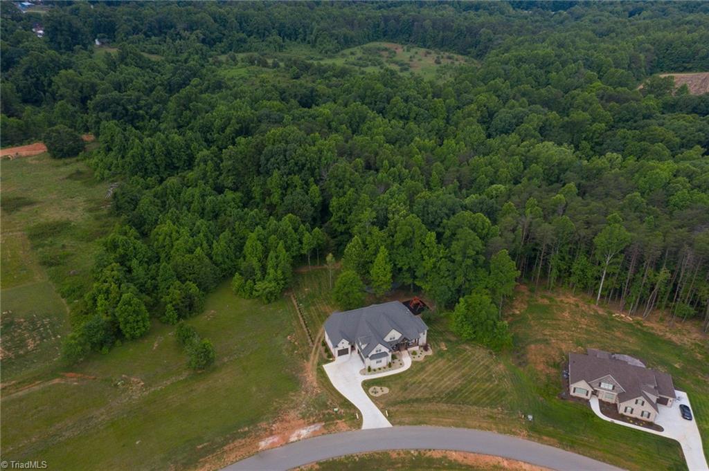 8605 Lathans Trail Oak Ridge, NC 27310 - Photo 4 of 46