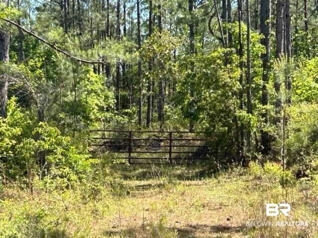 1150 Howardtown Road Tibbie, AL 36583 - Photo 4 of 17