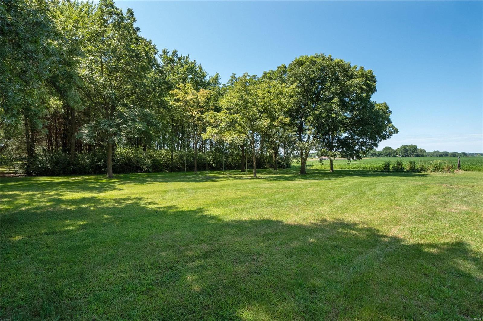 865 Schlueter Germaine Road Belleville, IL 62220 - Photo 25 of 99
