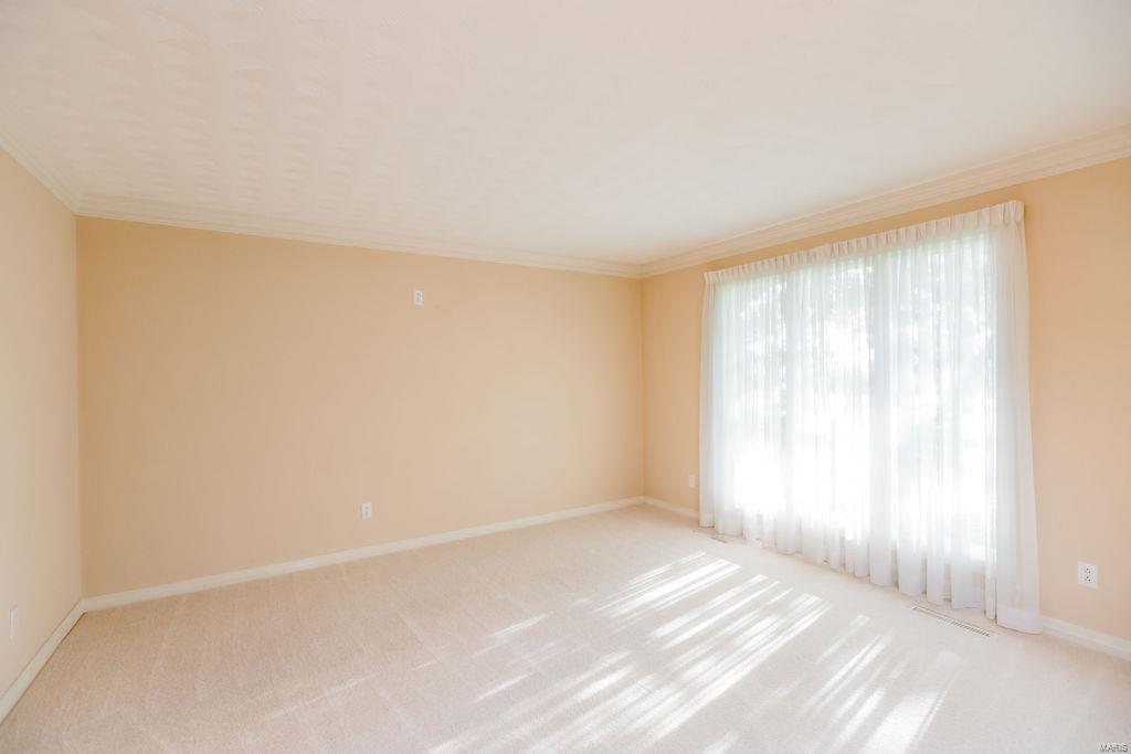 865 Schlueter Germaine Road Belleville, IL 62220 - Photo 29 of 99