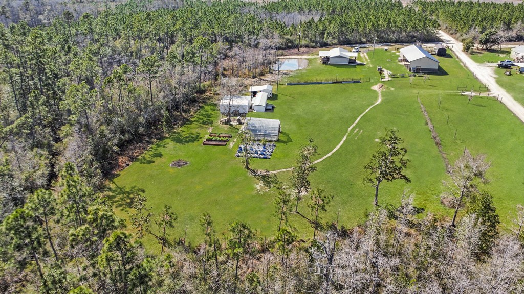 978 Griffin Road Wewahitchka, FL 32465 - Photo 10 of 15 Gallery Image 10