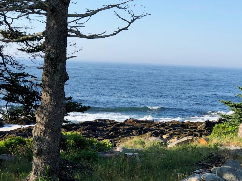 113 Pemaquid Loop Road New Harbor, ME 04554 - Photo 3 of 5 IMG_7187