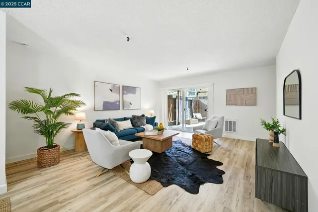 a living room with furniture potted plant and a lamp