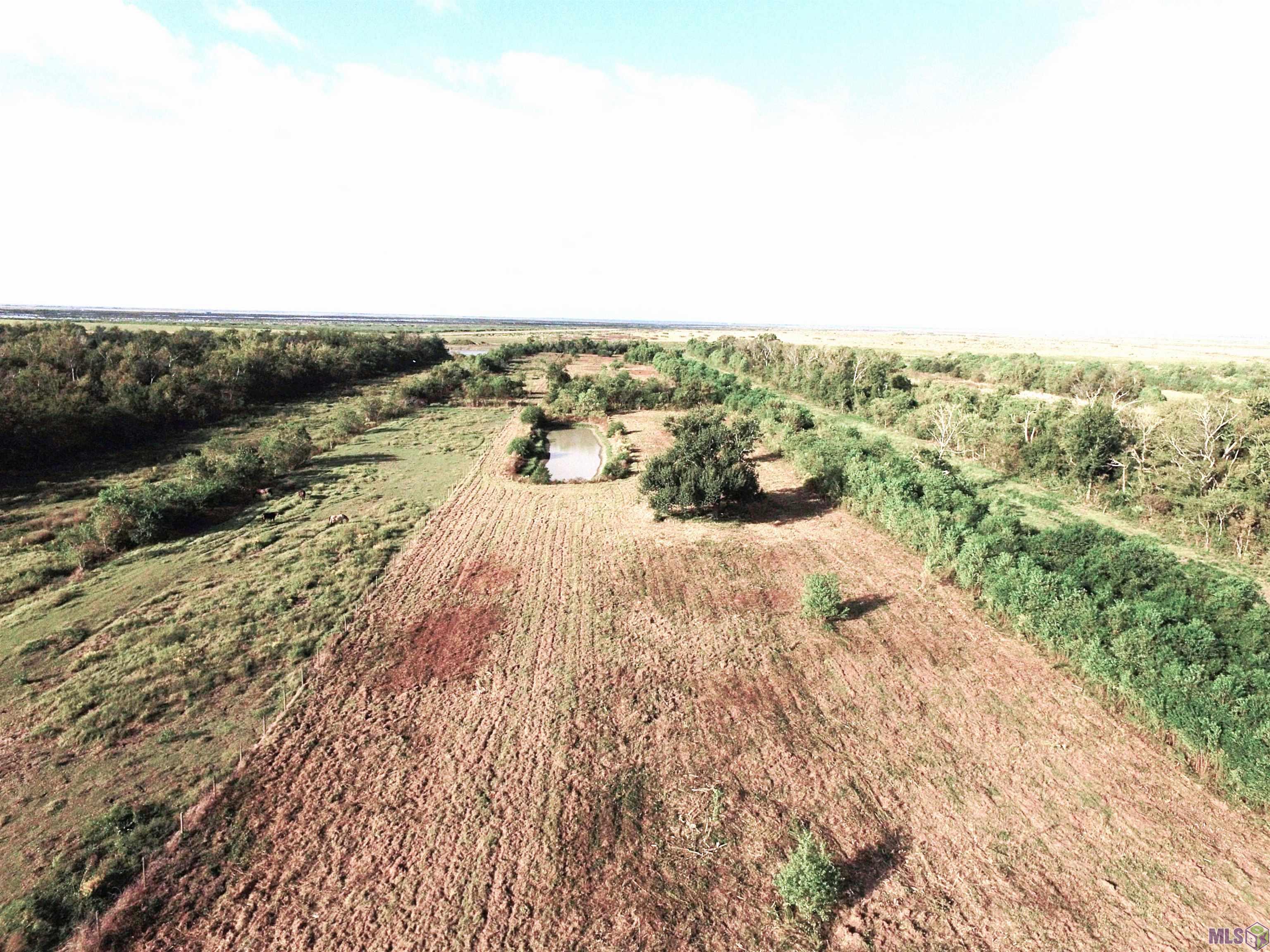 3235 WEST Cut Off La Cut Off, LA 70345 - Photo 2 of 9