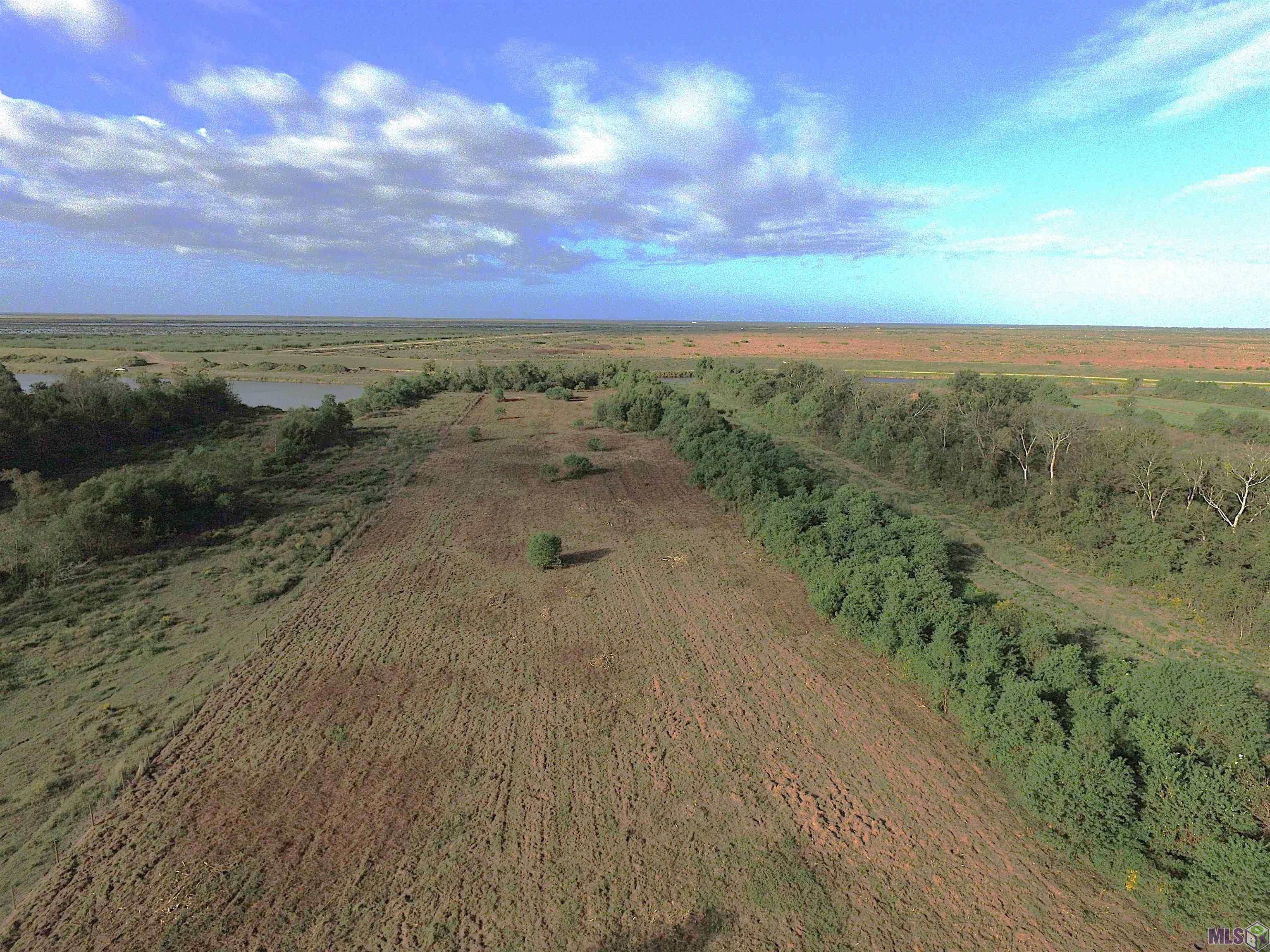 3235 WEST Cut Off La Cut Off, LA 70345 - Photo 4 of 9