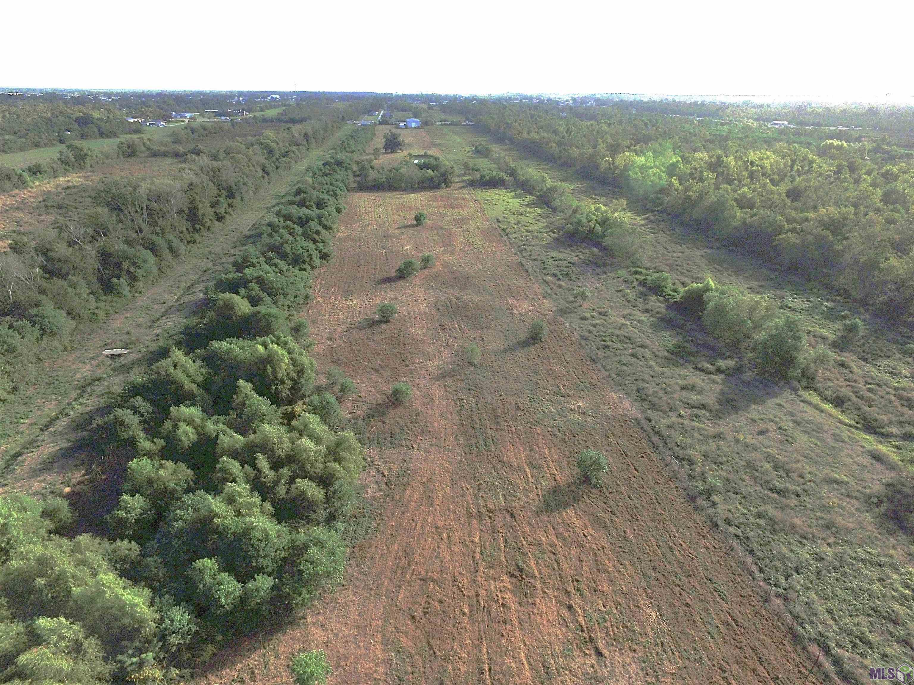 3235 WEST Cut Off La Cut Off, LA 70345 - Photo 5 of 9