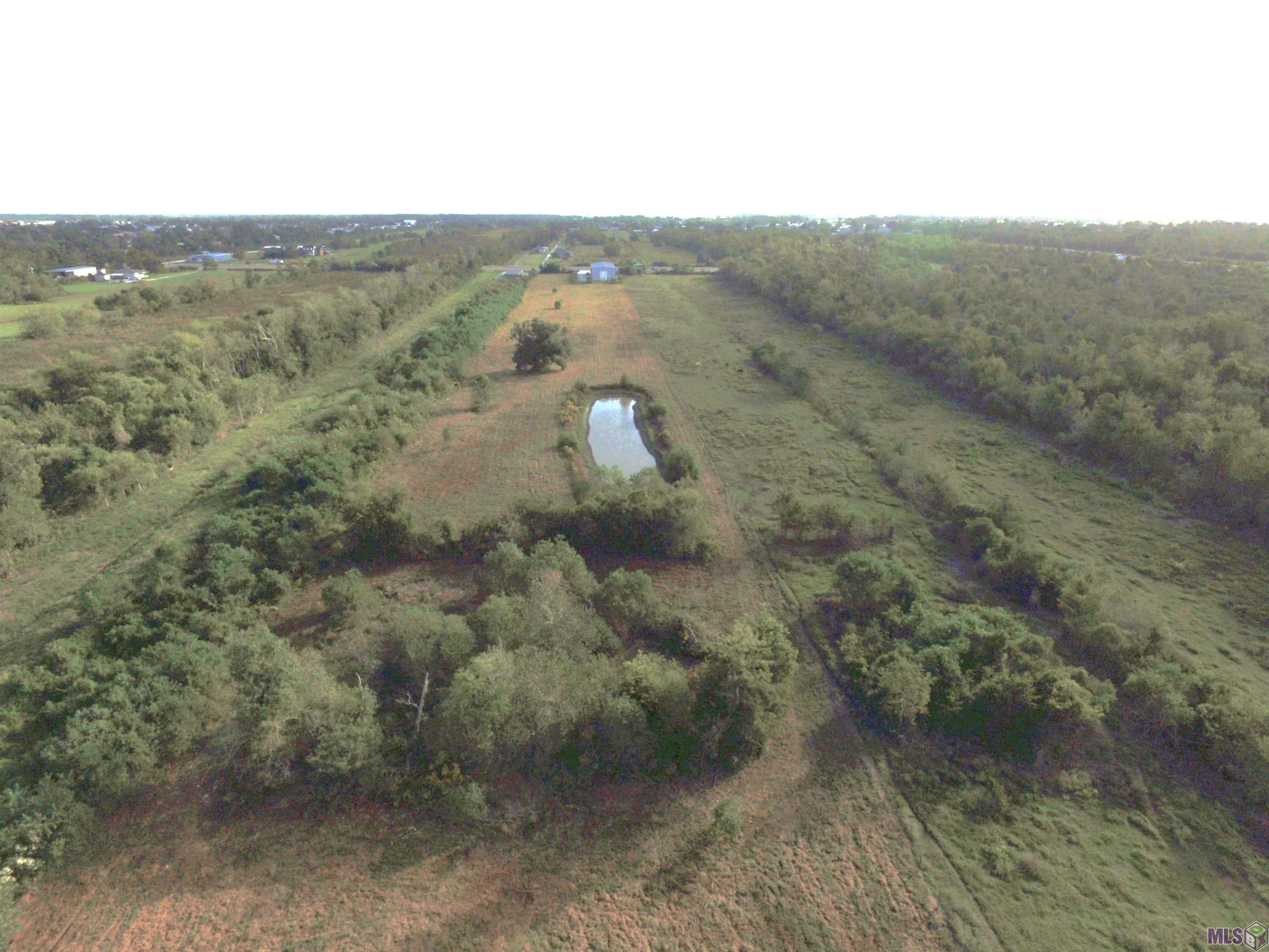 3235 WEST Cut Off La Cut Off, LA 70345 - Photo 6 of 9