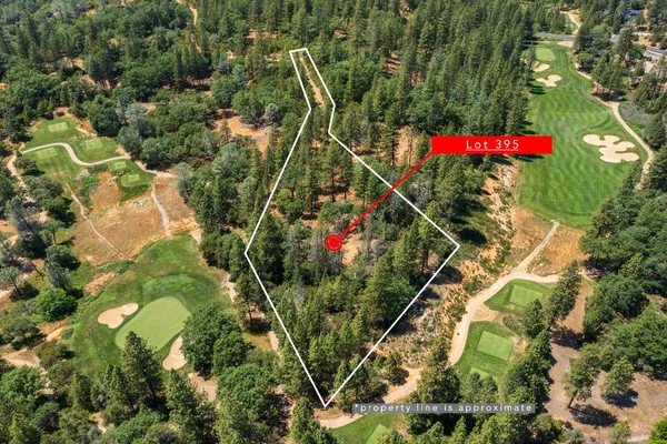 a view of road with trees