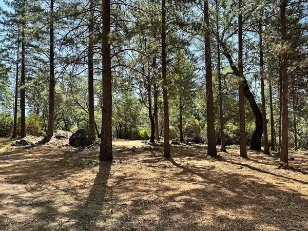 $700,000 | 1835 East Summit View Dr Meadow Vista, Meadow Vista, CA 95722