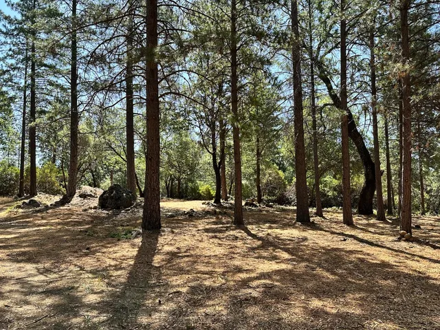 a view of road space with trees