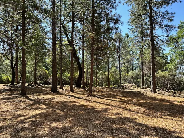 a view of a backyard of the house