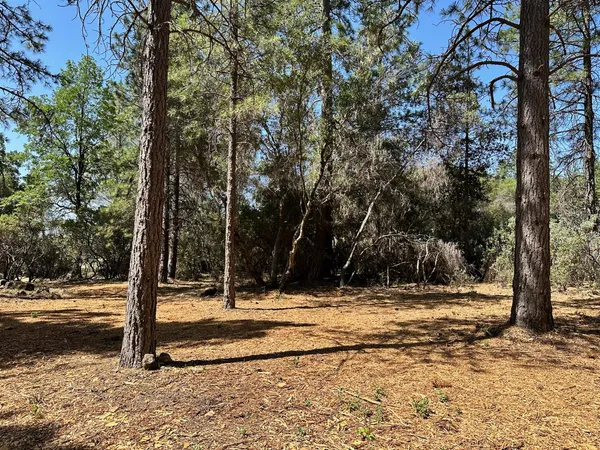 $700,000 | 1835 East Summit View Dr Meadow Vista, Meadow Vista, CA 95722