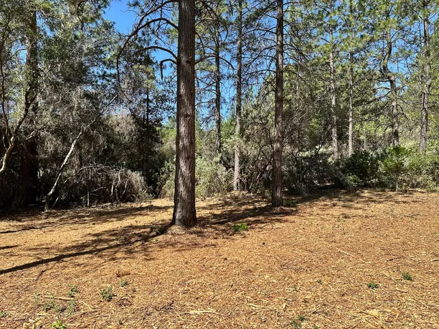 a view of outdoor space with trees