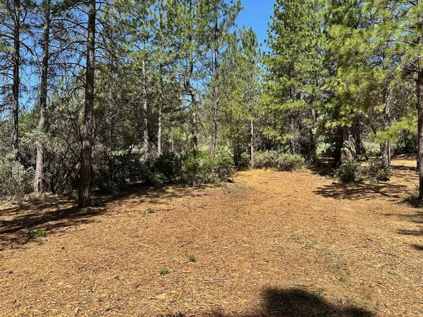 $700,000 | 1835 East Summit View Dr Meadow Vista, Meadow Vista, CA 95722