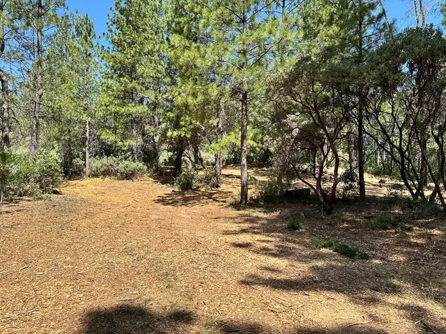 a view of a yard with snow on the road