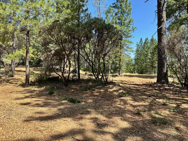 $700,000 | 1835 East Summit View Dr Meadow Vista, Meadow Vista, CA 95722