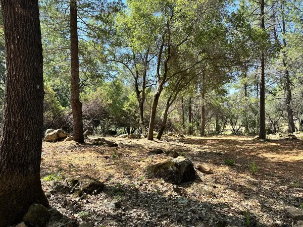 $700,000 | 1835 East Summit View Dr Meadow Vista, Meadow Vista, CA 95722