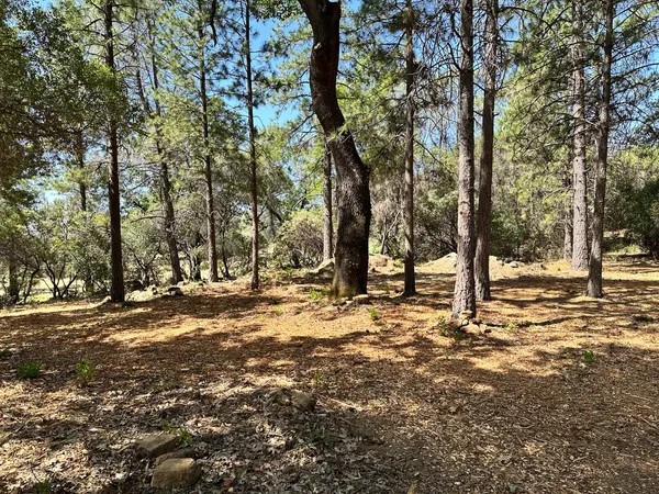 $700,000 | 1835 East Summit View Dr Meadow Vista, Meadow Vista, CA 95722