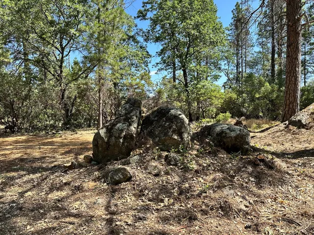 a view of a house with a yard and garden