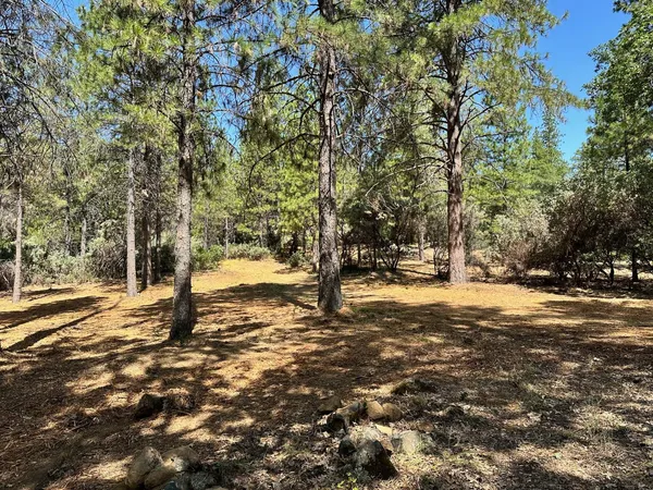 $700,000 | 1835 East Summit View Dr Meadow Vista, Meadow Vista, CA 95722