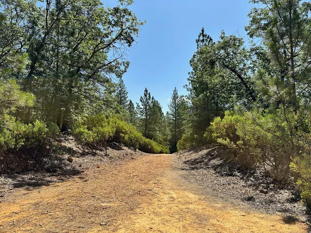 a view of road and trees